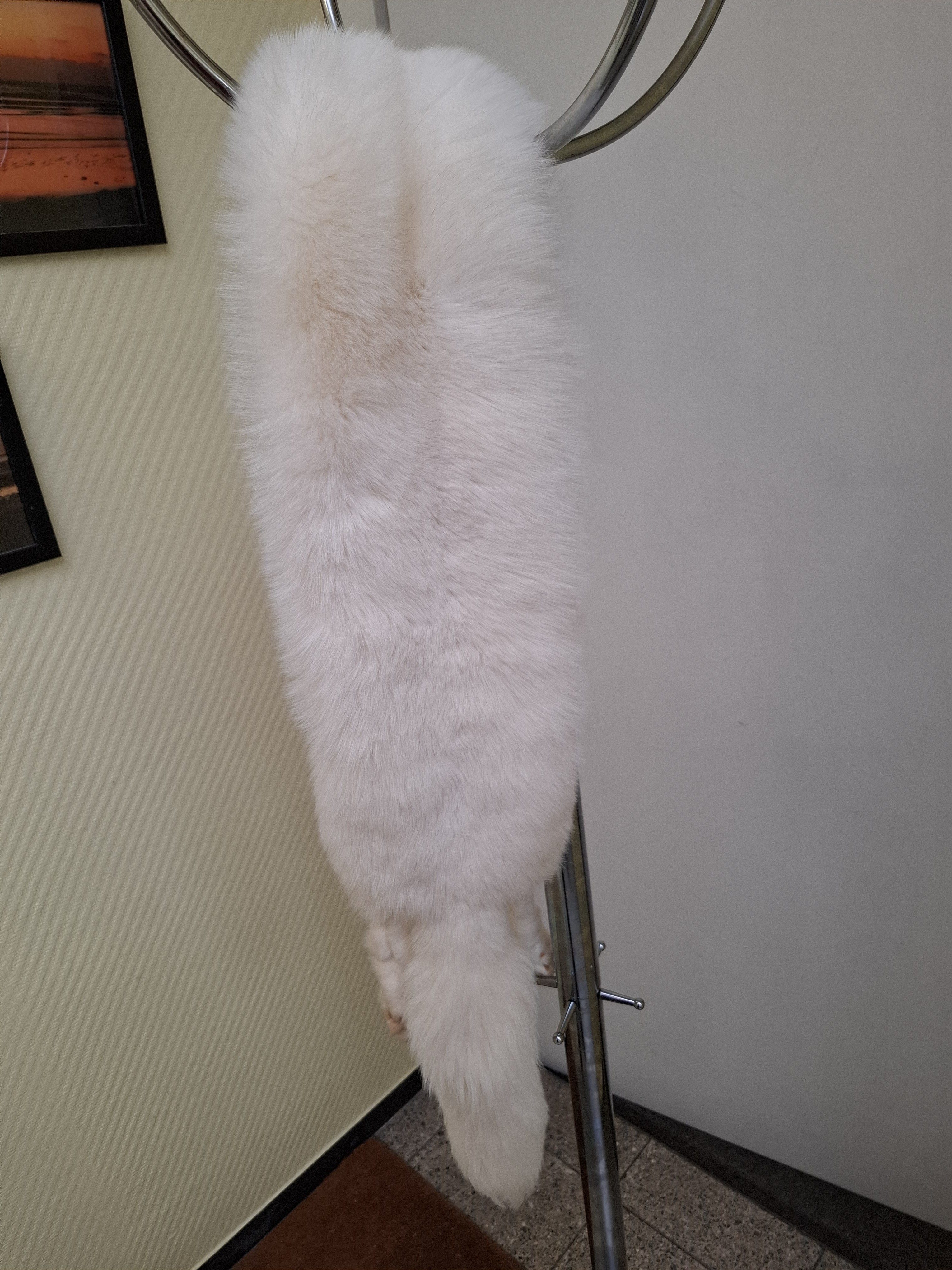 Eingereichtes Pelzstück – Beispiel 47.11 Bild 3