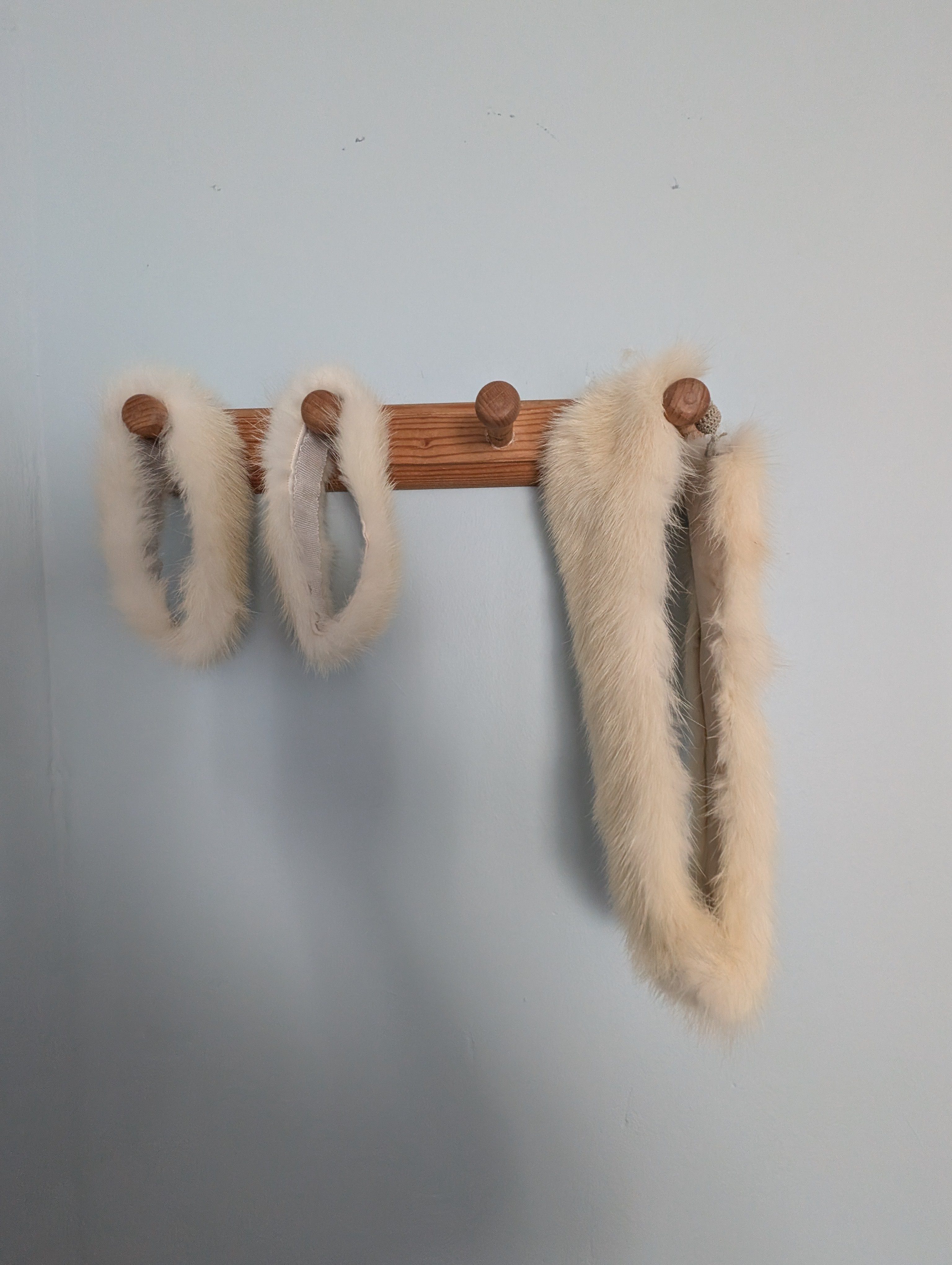 Eingereichtes Pelzstück – Beispiel 13 Bild 3