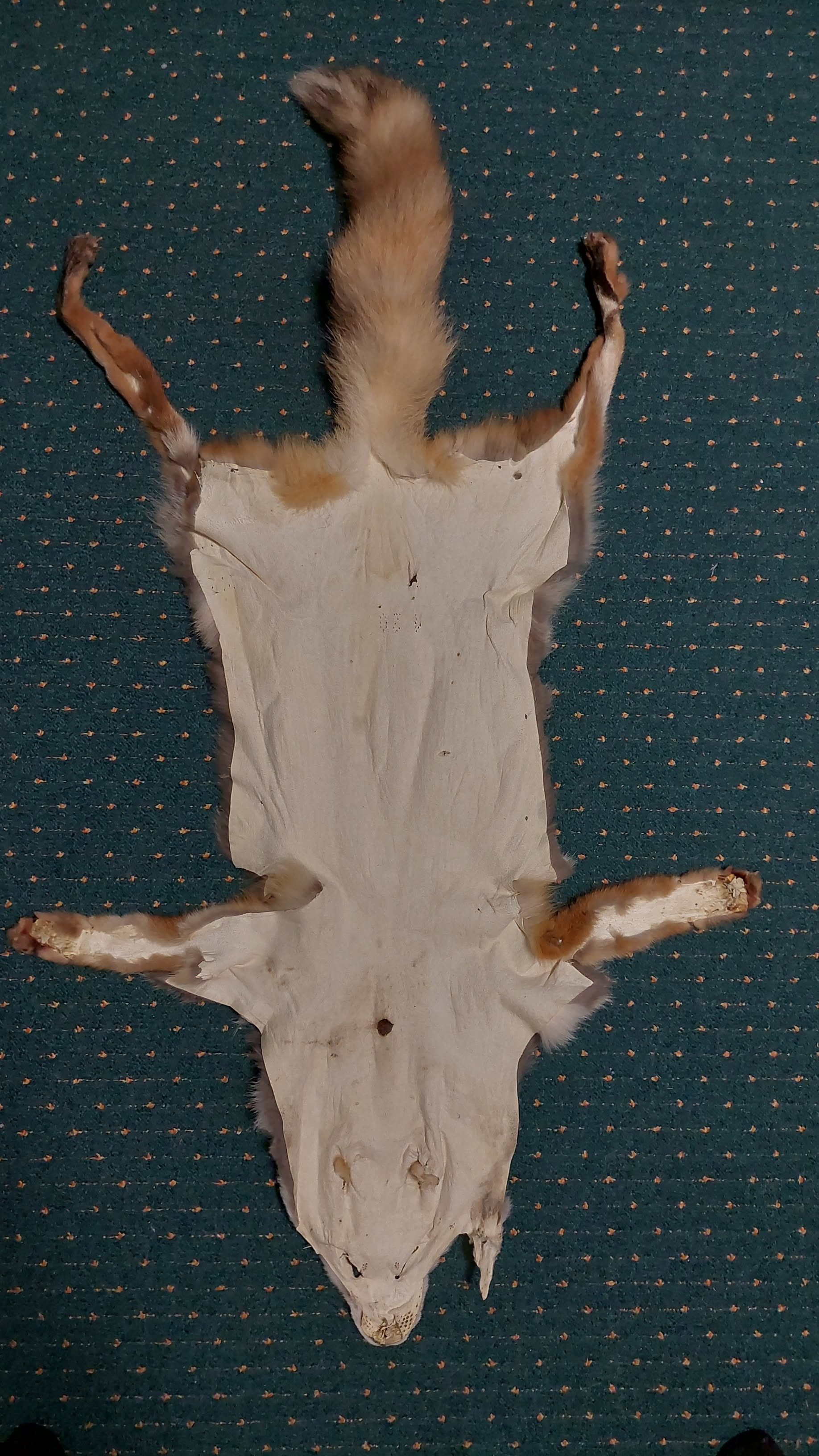 Eingereichtes Pelzstück – Beispiel 252 Bild 10