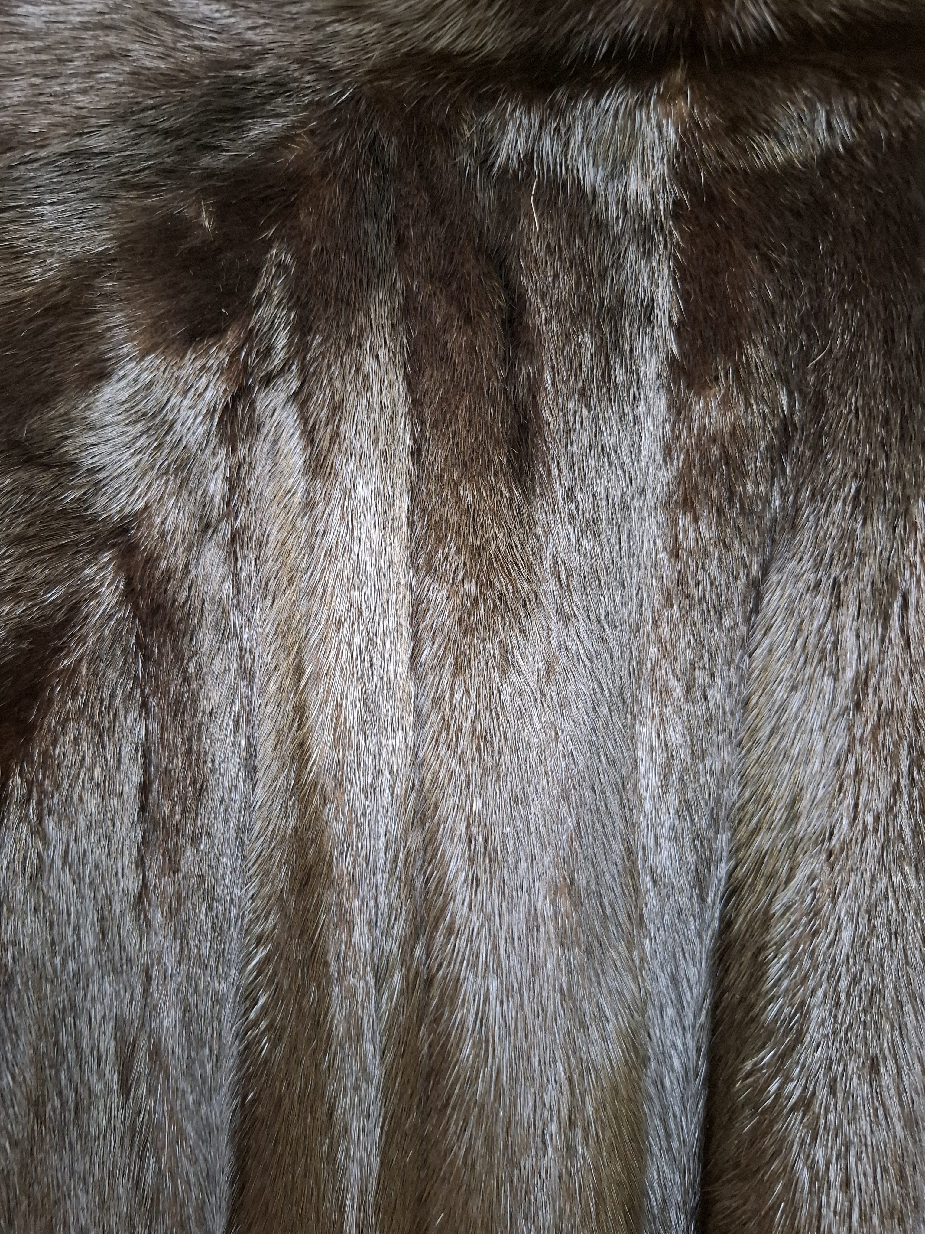 Eingereichtes Pelzstück – Beispiel 47.1 Bild 3