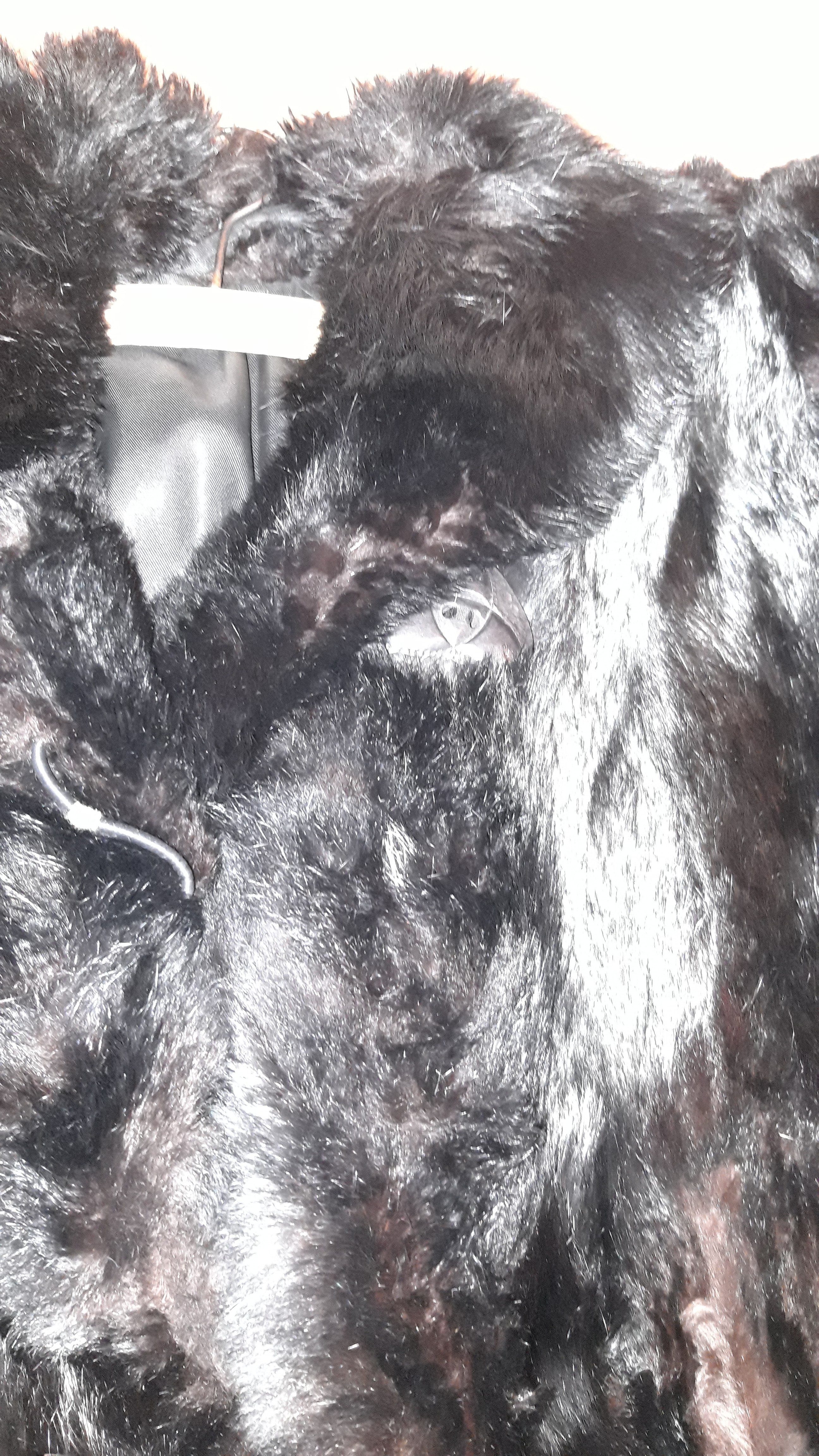 Eingereichtes Pelzstück – Beispiel 231.4 Bild 2