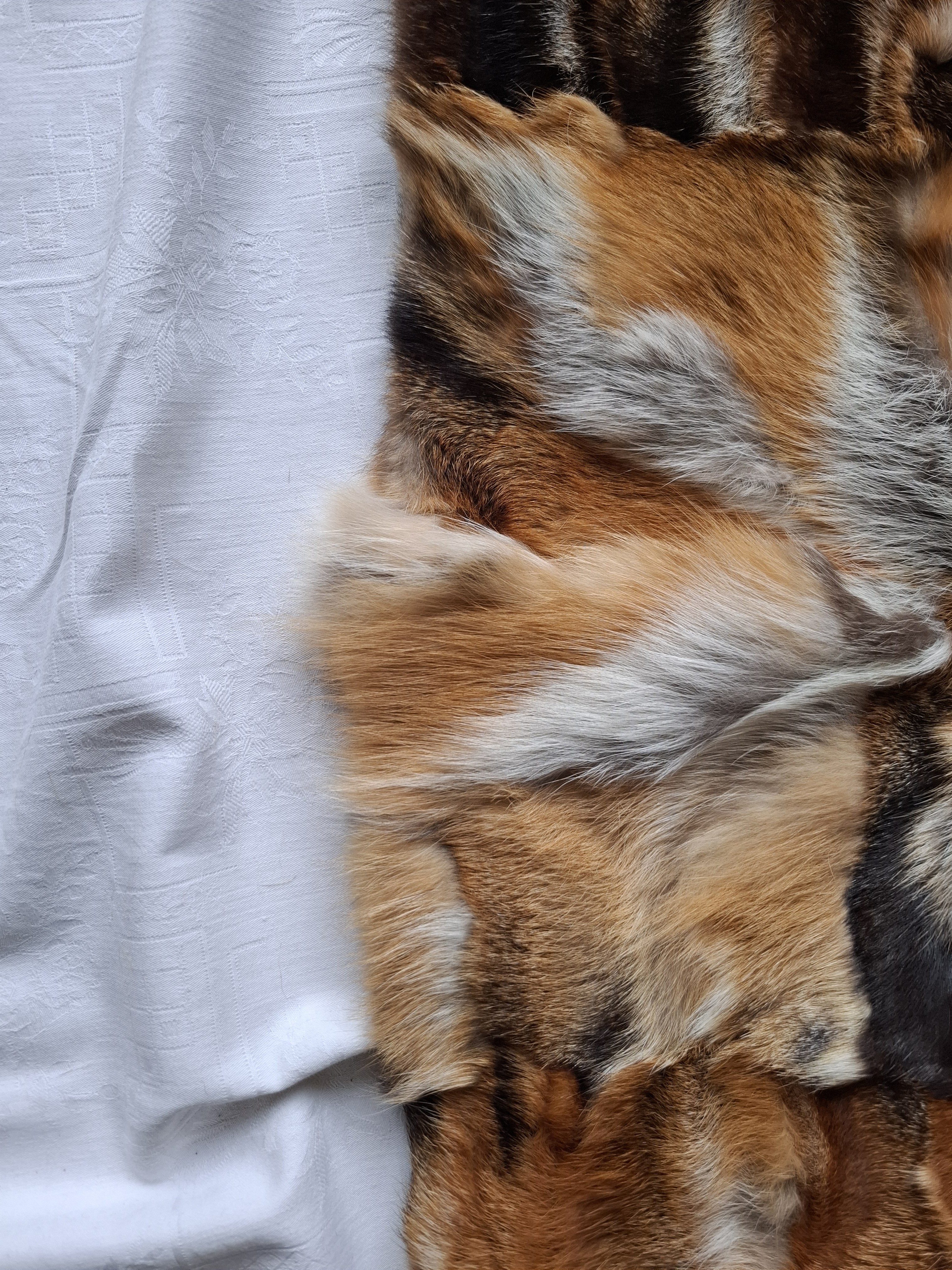 Eingereichtes Pelzstück – Beispiel 47.5 Bild 6