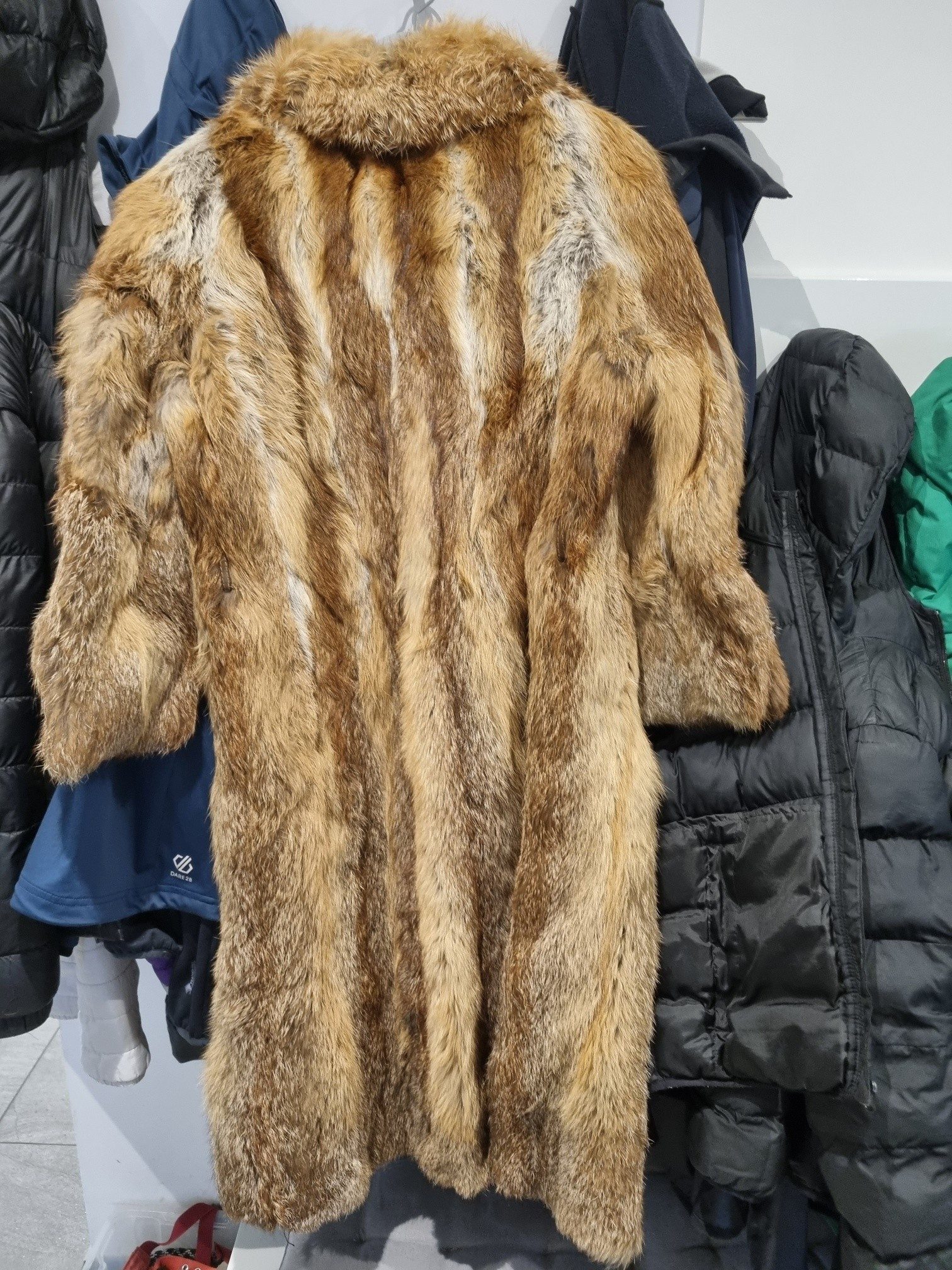 Eingereichtes Pelzstück – Beispiel 39 Bild 1