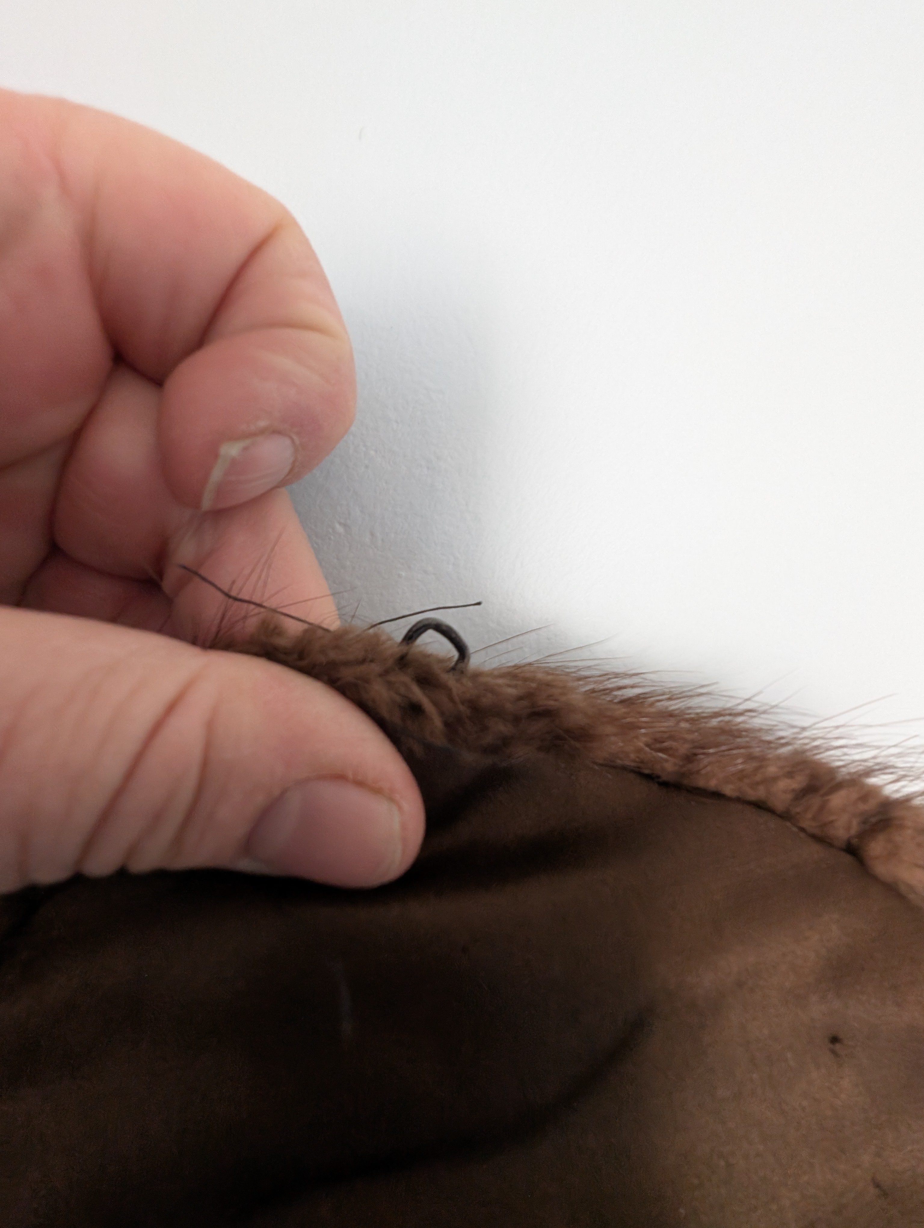 Eingereichtes Pelzstück – Beispiel 16 Bild 2