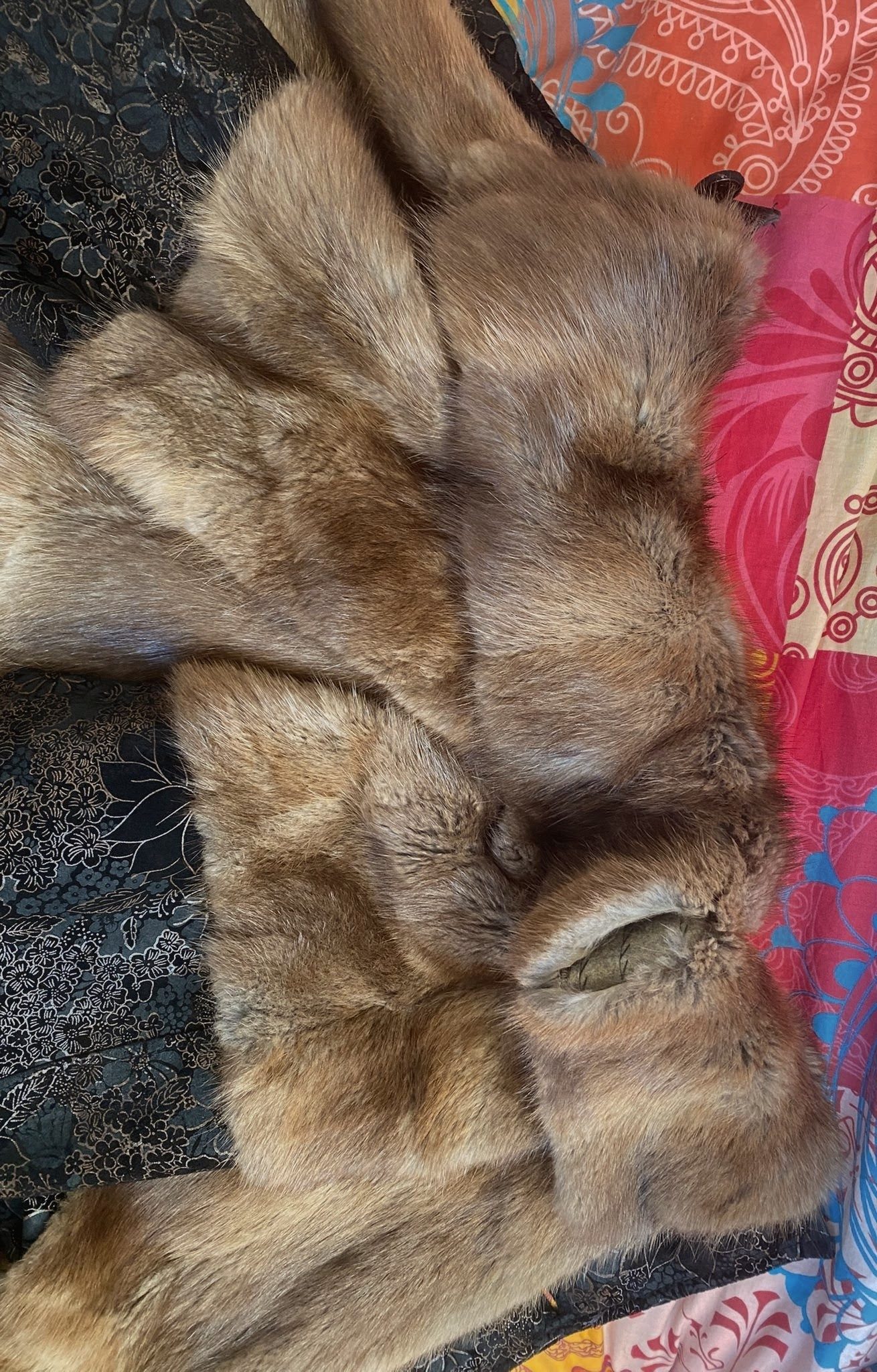 Eingereichtes Pelzstück – Beispiel 105.2 Bild 27