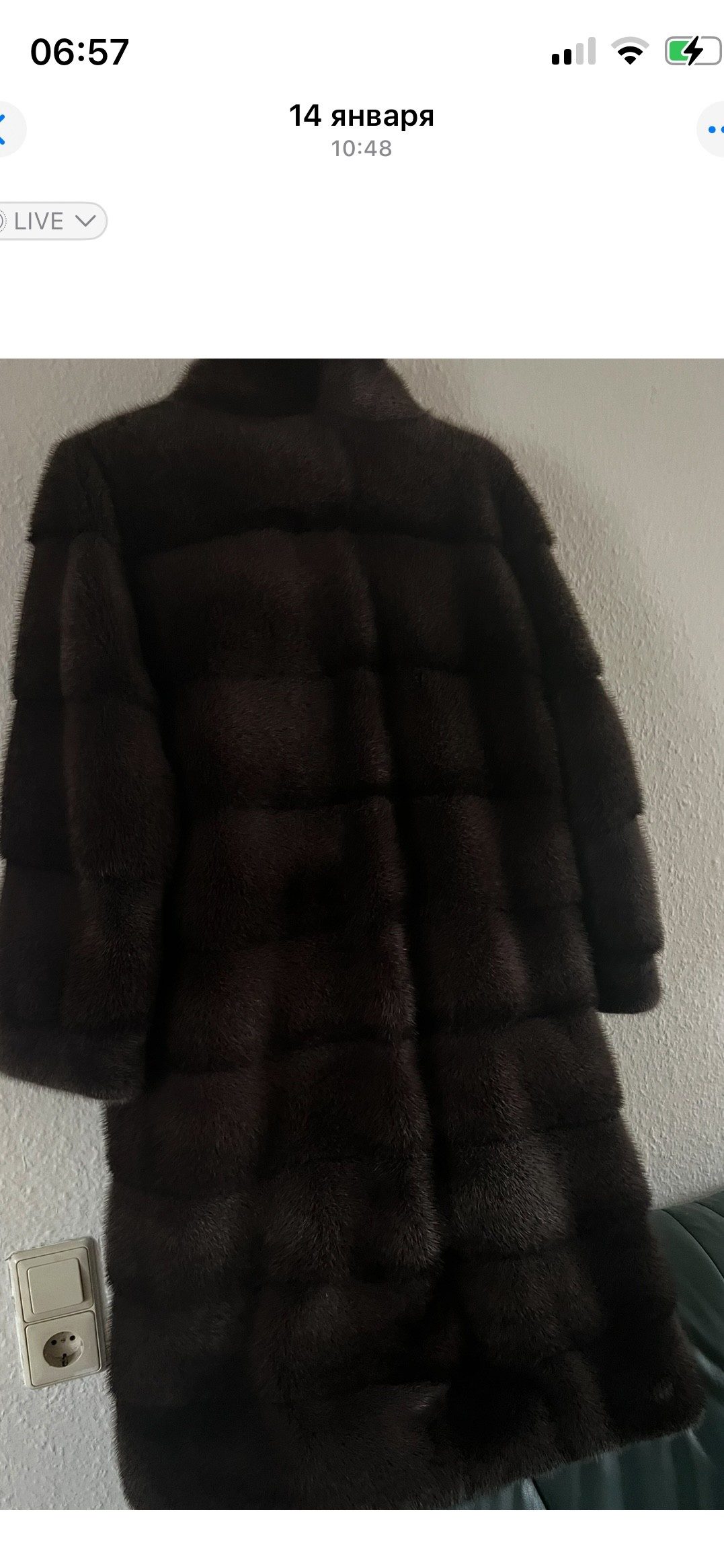 Eingereichtes Pelzstück – Beispiel 121 Bild 3